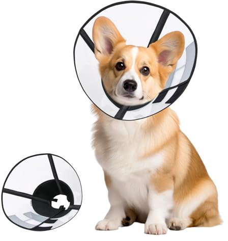 Collare Elisabettiano Morbido di Recupero per Cani, Anti Leccamento Dopo Intervento, Cono Regolabile e Pieghevole (Nero, S)