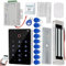 HERNAS Smart Access Control System Kit, IP68 Outdoor Waterproof Door Lock, Tuya APP Remote Control, with 180KG Magnetic Lock and Door Bell, Unlocking Logs Traceable
