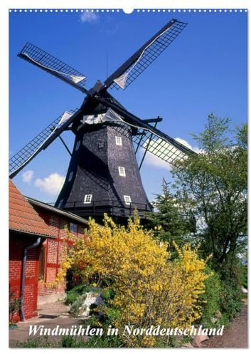 Windmühlen in Norddeutschland (Wandkalender 2026 DIN A2 hoch), CALVENDO Monatskalender: Historische Windmühlen (CALVENDO Orte)