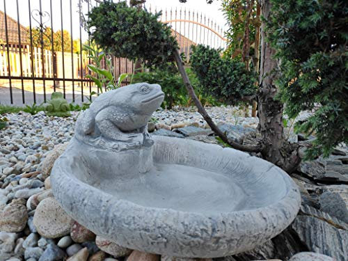 Ornament Gartendekoration Vogelbad - Frosch