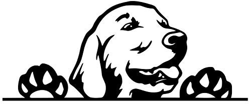 myrockshirt Niedlicher Hund 20cm Golden Retriever Goldie Labrador Aufkleber Autoaufkleber Profi-Qualität ohne Hintergrund Sticker UV&waschanlagenfest