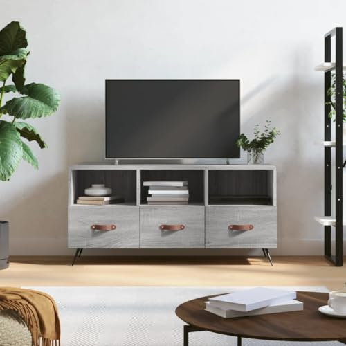 Camerina TV-Schrank Grau Sonoma 102x36x50 cm Holzwerkstoff Industrial Design Tv Board Holz