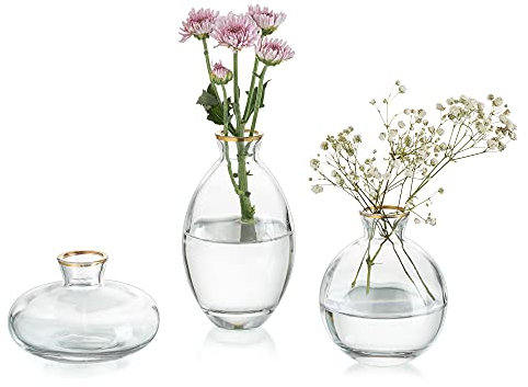Kleine Vasen Für Tischdeko Vintage Handmade, 3 Teilig Mini Vase Glas Goldrand Blumenvase Modern Set Verschiedene Groessen Schlanke Hydroponic Glasvase Fuer Blumen Deko Hochzeit Tisch Wohnzimmer