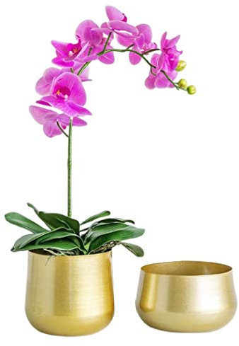 BEAHING Plante dorée Pot métal Pots de Fleurs en Laiton Jardin jardinières