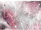 Runa Art Fototapete Pusteblumen 352 x 250 cm Vlies Tapeten XXL Moderne Wandtapete Wohnzimmer Schlafzimmer Rosa Grau 9483011b