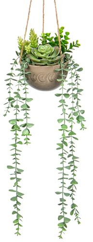Hollyone Plantes artificielles à suspendre, plantes succulentes artificielles en pot avec cordes de chanvre, plantes rampantes décoratives d'intérieur et d'extérieur pour décoration d'intérieur,