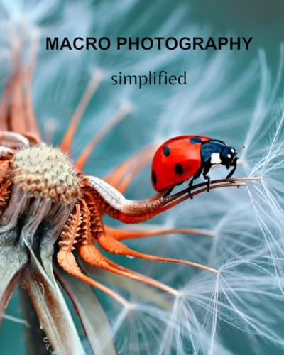 Macro photography for beginners: From Beginner to Expert