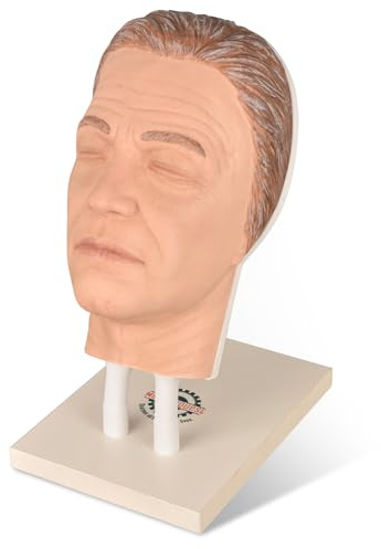 MedEduQuest Silikon-Injektions-Schaufensterpuppe, Gesichtstrainingsmodell, Make-up-Kopfmodell mit häufigen Gesichtsproblemen für Mikroplastik-Unterricht und Injektionstraining für Ästhetiker,