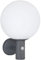 GLOBO Wandlampe Außenleuchte Anthrazit Kugellampe wetterfest LED Hauswandleuchte, Bewegungsmelder Glas Edelstahl, LED 7W 806lm 2700K warmweiß, DxH 25x37 cm
