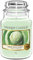 Yankee Candle Candela profumata in giara grande, Green Apple Sorbet, Durata Fino a 150 Ore, Regali ottimi per le donne
