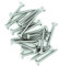 No.6 x 1.2 (4mm x 30mm) Pozi Pan Chipboard Screw - Stainless Steel (A2) (Pack of 50)