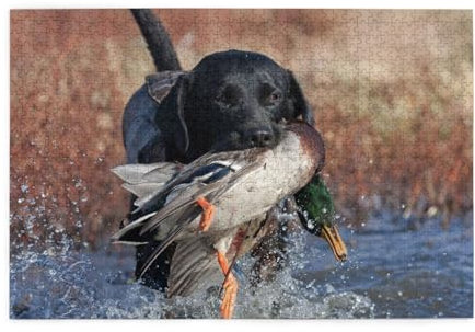 Puzzles,Jigsaw Puzzles Adults Challenging Puzzle 1000 pcs Picture puzzle wooden, Duck Hunting Labrador Dog Cool Black Puppy Animal