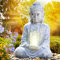 FONTANA ZEN FONTANA FENG SHUI FONTANA BUDDA FONTANA BUDDHA FONTANA DA GIARDINO FONTANA A LED FONTANA INTERNI FONTANA LUCE DI VITA ZEN | Con luci che si accendono al calar della sera