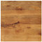 vidaXL Tischplatte, Holztischplatte Rechteckig Rustikal, Ersatztischplatte für Couchtisch Beistelltisch Esstisch, Holzplatte, Massivholz Mango