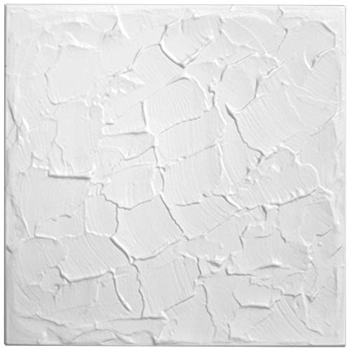 DECCART 3D Wandpaneele Weiß 50x50 cm 8 Stück | 2 m², Paneele Wand Wall Panels Deko Wandverkleidung Innen Panel Deckenverkleidung Decke Deckenpaneele Platten EPS