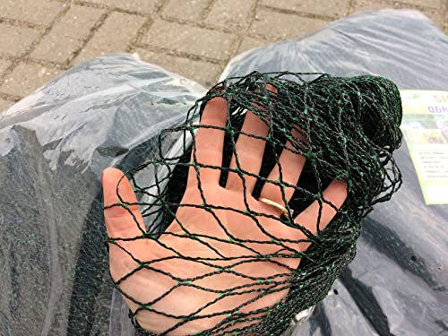 AGROHIT Vogelschutznetz, Reißfestes & Engmaschiges Gartennetz, Abdeckung für Beeten, Pflanzen & Teiche, Schutznetz gegen Vögel, Schmutz & Laub, Netz für Obst & Gemüse, 2 x 3 m, 6 m²