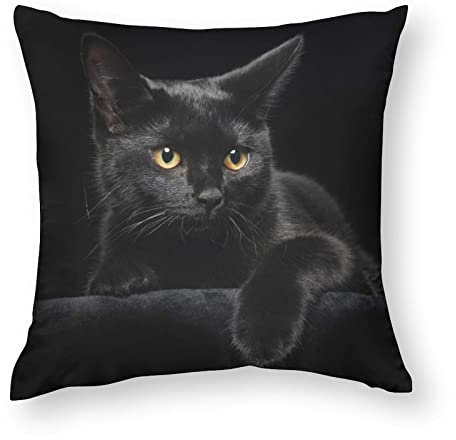 NIBABAEU Kissenbezug, Motiv: schwarze Katze, 40,6 x 40,6 cm, weiches Polyester, quadratisch, für Wohnzimmer, Sofa, Couch, Bett, 1 Stück