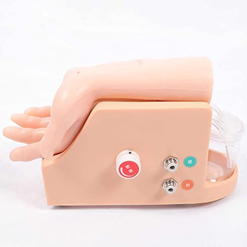 Unterrichtsmodell, Blutgasanalyse Manikin Artery Blood Gas Analysis Trainingsmodell mit Armpunktion Infusionsblutabnahme haben Rückblut