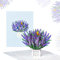 scicent Pop-Up Karte Lavendel 3D Blumenkarte für Frau Freundin & Mutter (Geburtstagskarte, Gute Besserung, Genesung, Danke) - Popup Glückwunschkarte mit Blumen zum runden Geburtstag - 31909