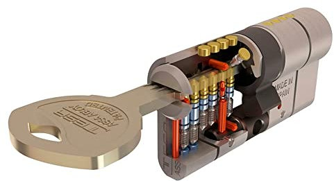 Ateliers de eskoriatza u. (tesa) t7553535 N – Cylindre Sécurité 35 x 35 mm T70 Niq Came LG tesa 1