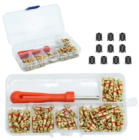 100Pcs Desmonte Válvula Neumático Herramienta Desmontaje de proyectiles, valvulas neumaticos, apretar valvula obus neumatico, con tapones de válvula, Válvula Core, 4-1 Herramienta, para reparación