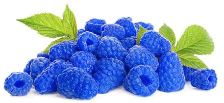 himbeeren pflanzen samen,himbeere seltene pflanzen, bio saatgut alte sorten sukkulenten winterhart, exotische pflanzen samen exotische früchte, winterharte pflanzen für garten frisches 120pcs