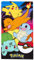 Northwest Strandtuch, 76,2 x 152,4 cm, Sunset Pokemon