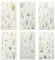 Daisy Stickers, 6 Pcs Decals for Crafts Waterproof Flower Stickers Transparent White Daisy Vinyl Flower Themed Decals for Scrapbook Supplies Card Making Journaling Water Bottles DIY Crafts Decoration