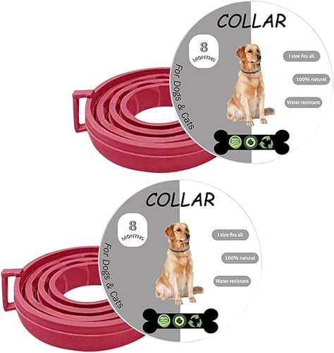 BKEPDY Collare Antipulci Cani Gatti Regolabile Naturale Protezione Parassiti Impermeabile Durata 8 Mesi Taglia Unica