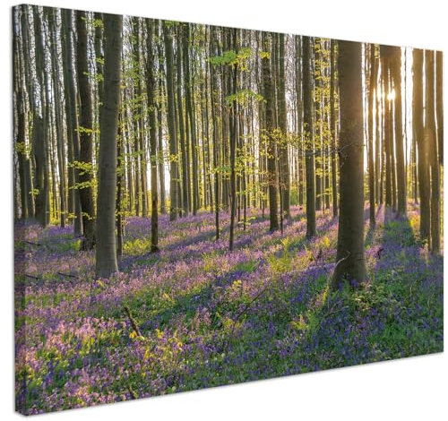 CHDITB Natur Wald Sonnenaufgang Leinwandbilder XXL, Landschaft Wandkunst mit Berg, Baum Poster Dekoration für Wohnzimmer, Schlafzimmer, Büro, 59 * 39cm