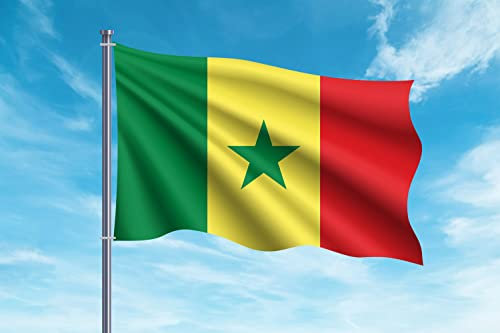 OEDIM Bandera de Senegal | 150x85cm | Reforzada y con Pespuntes | Bandera con 2 Ojales Metálicos y Resistente al Agua
