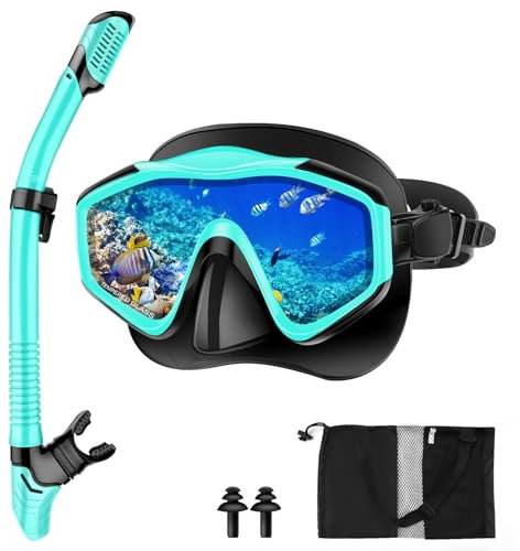 Immver Snorkel Set Adults, with Anti-Fog Panoramic View Snorkel Mask Made of Tempered Glass and Anti-Leak Dry Snorkel Tube, Diving Snorkeling Set for Adult and Youth