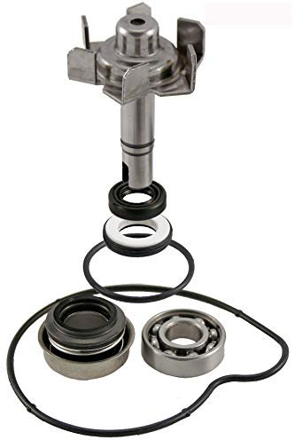 Kit revisione pompa acqua T-MAX 500 2006 2006