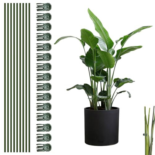 Plant Support Lot de 10 tuteur Plante avec 15 Clips pour Plantes, tuteur Pliables pour Plantes Aide Les Plantes à Grimper, tuteur Plante Interieur d'extérieur, Tuteurs pour Plantes et Plantes Clip