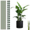 Plant Support Lot de 10 tuteur Plante avec 15 Clips pour Plantes, tuteur Pliables pour Plantes Aide Les Plantes à Grimper, tuteur Plante Interieur d'extérieur, Tuteurs pour Plantes et Plantes Clip