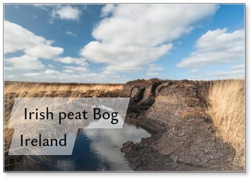 Irish Peat Bog Landscape, Fridge Magnet