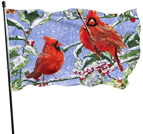 Fahne Vögel Winter Garten Fahnen Dekoration Dekorationen Flagge Lustige Bannerfahnen Für Bauernhaus, Feiertage, Zuhause, 90X150Cm