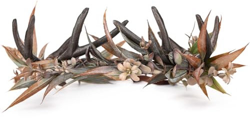 MOSTORY Gotische Geweihblumenkrone - Dunkles Horn-Stirnband, Elfenblütenkopfbedeckung mit Hirschgeweihen, Wald-Circlet für Frauen, Hexen-Renaissance, Ren Faire, Halloween, Cosplay-Outfit
