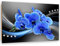 Feeby Wanddeko Orchideen Bild Kunstdruck modern Blumen Blau 80x60 cm