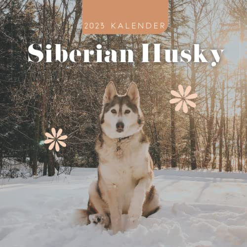 Siberian Husky Kalender: kalender 2023 - 8.5x8.5 inches - Geschenke für Familie und Freunde