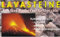 25 Liter Grill Lava ungewaschen Steine 32-56 mm Elektorgill Lavastein