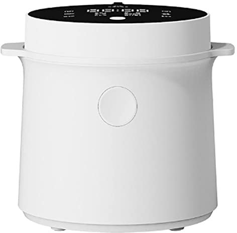 ZTBGY 2L Rice Cooker Small with Steamer Non- Stick Cooking, High-Temperature Protection, One Touch Operation for 1-4 People,Multicooker Functions To Make Rice, Soup, Porridge