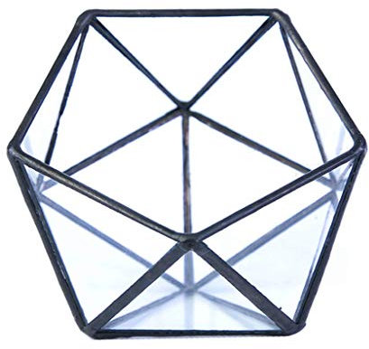 DIIOOMIEEU Glas-Terrarium-Aufbewahrungsbox, Schmuckhalter, Glas, geometrische Tischplatte, Sukkulenten-Pflanzkasten, Pflanzgefäßhalter für Koffer, Schwarz
