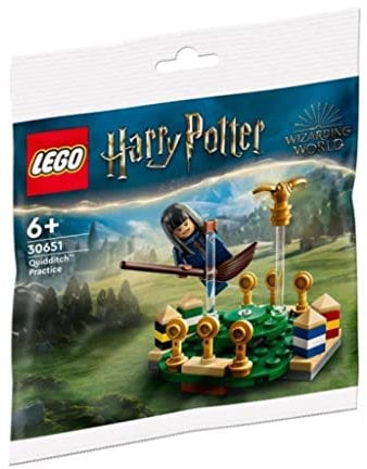 LEGO Konstruktionsspielzeug Harry Potter Quidditch Training