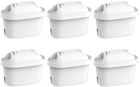 Teuypty Carafe Filtrante, Cartouche Purificatrice d'eau, Filtre à Charbon Actif pour Cuisine