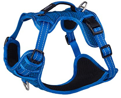 ROGZ SJX11.B Explore Geschirr, M, blau