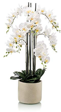 artplants.de Phalaenopsis künstlich Cecile, Keramiktopf, weiß, 100cm - Kunst Orchidee im Topf/Kunstblume Orchidee