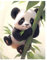 Diamond Painting Panda,Diamond Painting Erwachsene Süße Tiere,Diamond Art Erwachsene Set Home Wand Dekor for Gift(30x40cm)