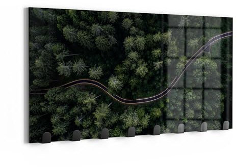 DEQORI Wandgarderobe Glas & Metall | Motiv Grüne Straßenwelt | 60x30 cm | Design Haken-Leiste modern | Garderoben-Paneel für Flur, Wohnzimmer & Schlafzimmer | magnetisch & beschreibbar