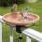 Vogelfutterspender und Vogeltränke,Vogeltränke Balkon,∅ 26,5cm Vogeltränke Hängend für Balkongeländer,Garten mit Halterung,Stehend&Winterfest